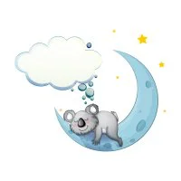 Цветной вариант раскраски коала спит на луне