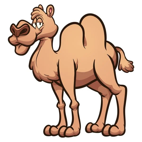 Цветной вариант раскраски деловой верблюд