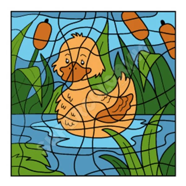 Цветной вариант раскраски по номерам: уточка в пруду