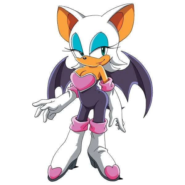 Цветной пример раскраски руж