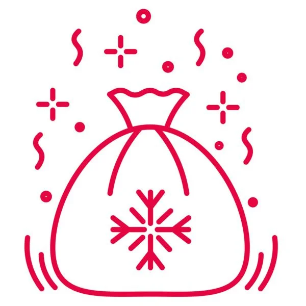 Цветной вариант раскраски рисунок на мешке со снежинкой