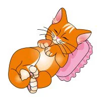 Цветной вариант раскраски кошечка спит на подушке