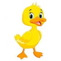 Цветной вариант раскраски маленький утенок