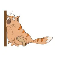 Цветной вариант раскраски уставший кот