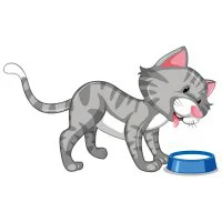 Цветной пример раскраски кот у миски