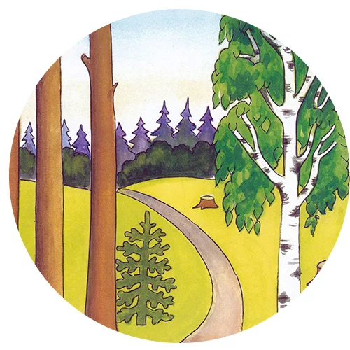 Цветной вариант раскраски лес береза природа лето