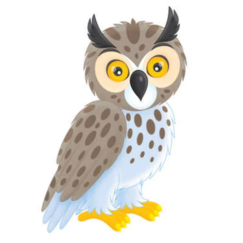 Цветной вариант раскраски охотник филин