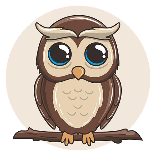 Цветной вариант раскраски молодая сова