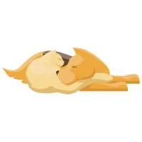 Цветной вариант раскраски кот и собака