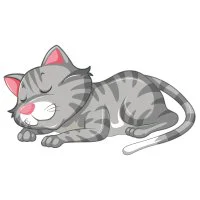 Цветной вариант раскраски кот уснул