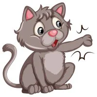 Цветной пример раскраски кот озорной