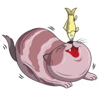 Цветной вариант раскраски кот с рыбкой