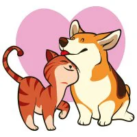 Цветной пример раскраски любовь между кошечкой и собакой