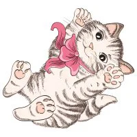 Цветной вариант раскраски котенок играется