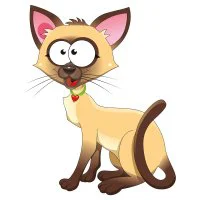 Цветной вариант раскраски сиамский кот