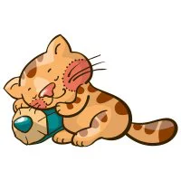 Цветной вариант раскраски котенок спит на карандаше