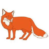 Цветной пример раскраски лиса рыжая