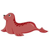 Цветной пример раскраски морской котик греется