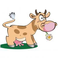 Цветной вариант раскраски коровка с цветочком