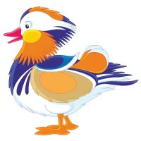 Цветной вариант раскраски необычная утка