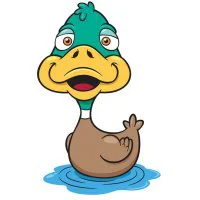 Цветной вариант раскраски уточка плавает