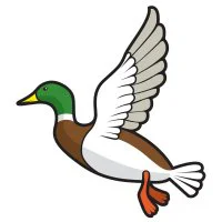 Цветной вариант раскраски утка летит