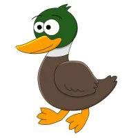 Цветной вариант раскраски странная утка