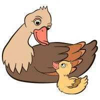 Цветной вариант раскраски мама уточка и утенок