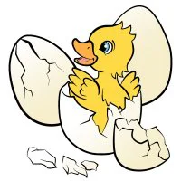 Цветной вариант раскраски утенок вылупился