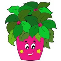 Цветной вариант раскраски красивый цветок в горшке