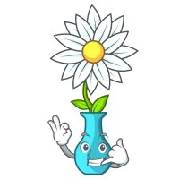 Цветной вариант раскраски ромашка цветочек в вазе