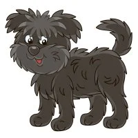 Цветной вариант раскраски лохматая собака