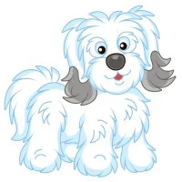 Цветной вариант раскраски пушистая собака