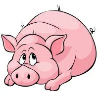 Цветной пример раскраски толстая свинка