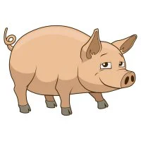 Цветной вариант раскраски свинья