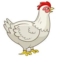 Цветной вариант раскраски курочка