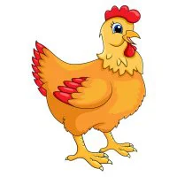 Цветной вариант раскраски важная курица