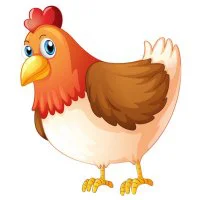 Цветной пример раскраски курица деревенская