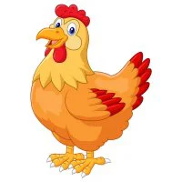 Цветной вариант раскраски красивая курочка