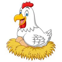 Цветной вариант раскраски курица высиживает яйца