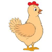 Цветной вариант раскраски курица детский рисунок