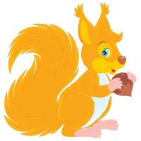 Цветной пример раскраски белочка с орешками