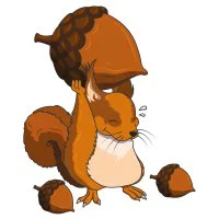 Цветной вариант раскраски белка и орех