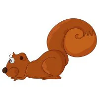 Цветной пример раскраски рисунок белки