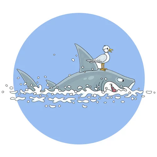 Цветной вариант раскраски акула и птичка