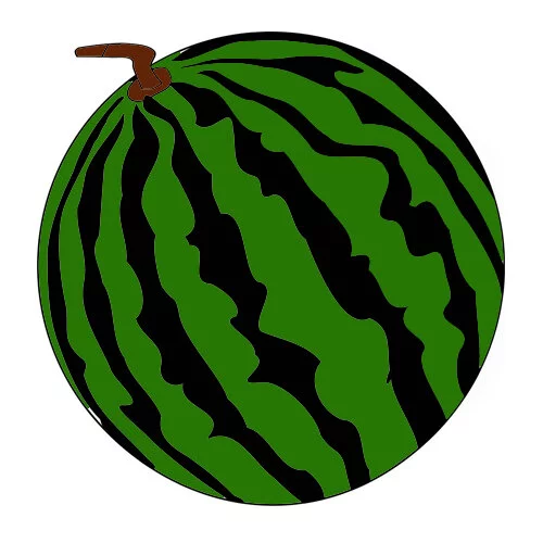Цветной пример раскраски арбуз фото