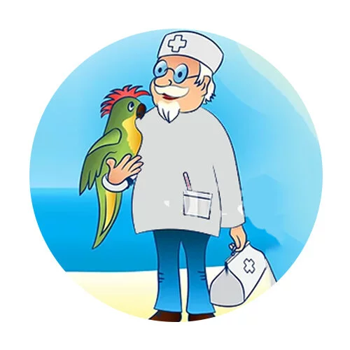 Цветной вариант раскраски айболит с птицей