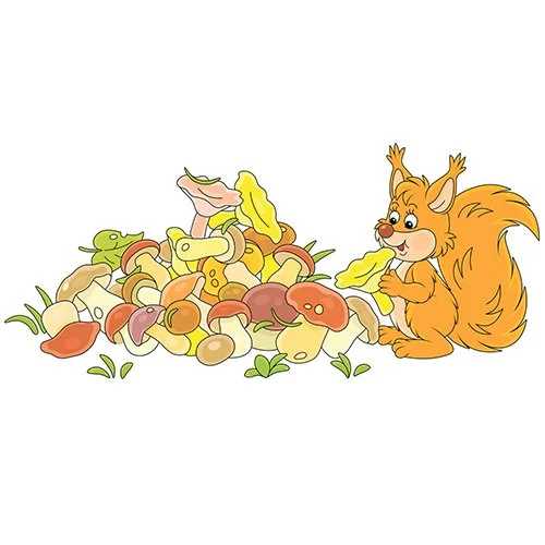 Цветной вариант раскраски белочка собрала много грибов