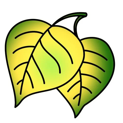 Цветной вариант раскраски березовые листья