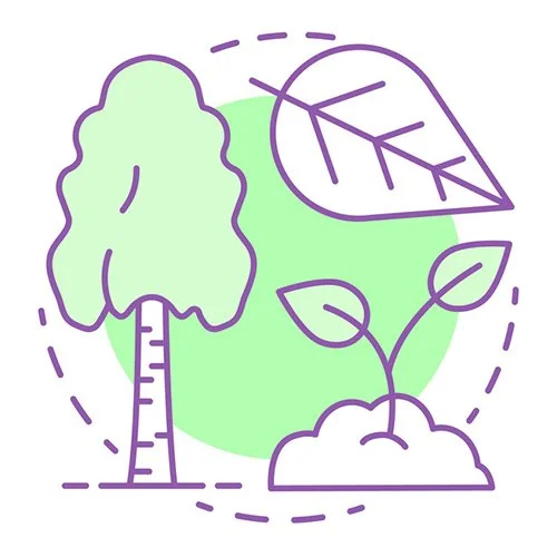 Цветной вариант раскраски березовый лист и береза